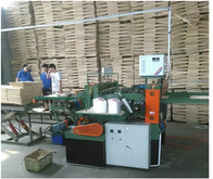 Automatic fali Veneer Composing machine 