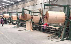 Automatic Veneer Plywood Lay-up Machine